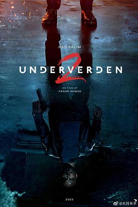 自由協(xié)議 Underverden II(全集)