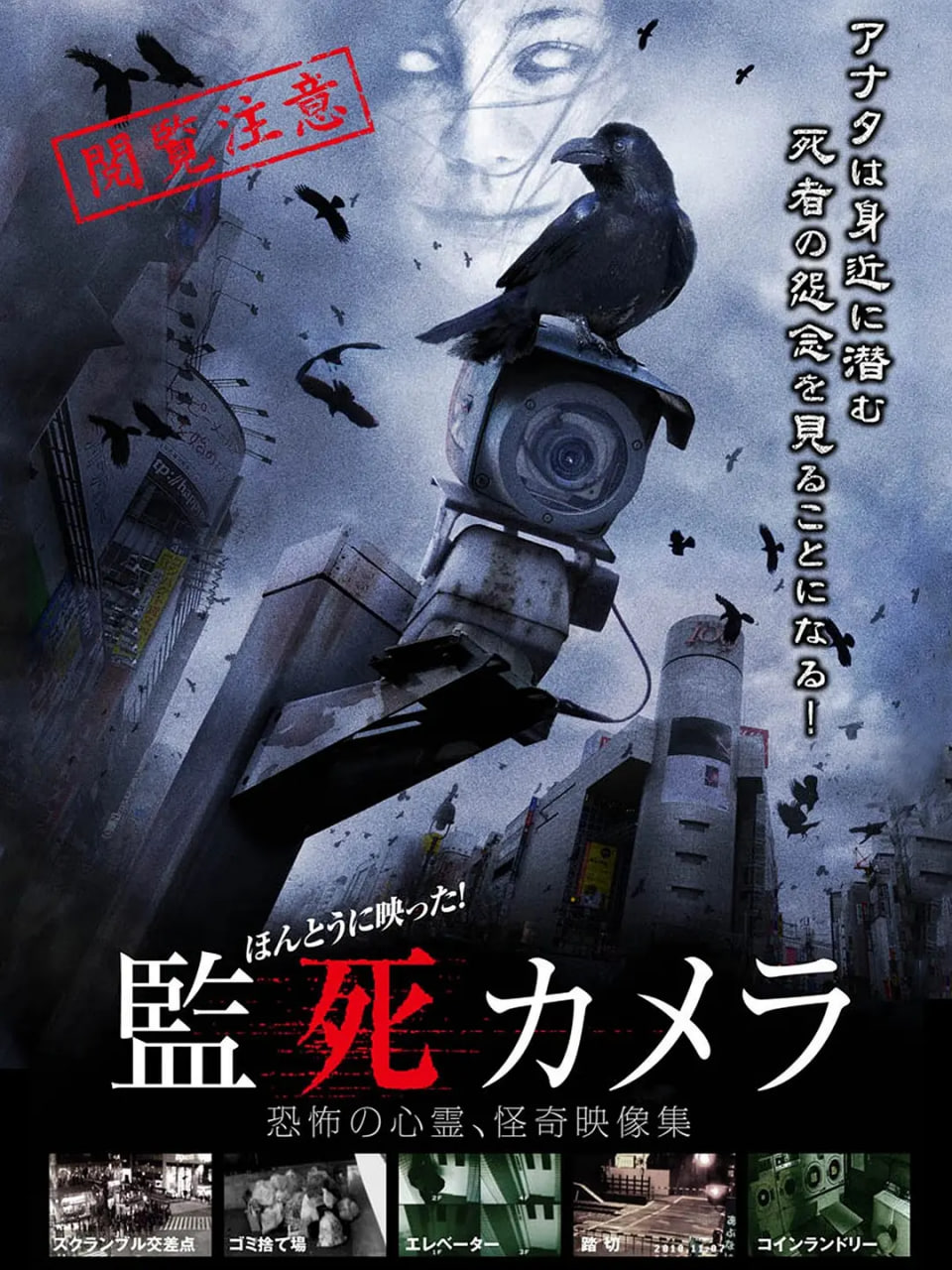 監(jiān)死攝像機(jī)(全集)
