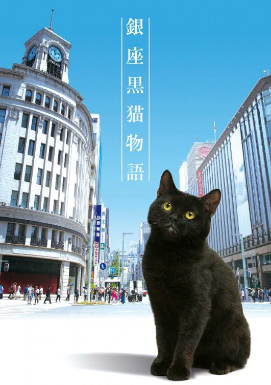 銀座黑貓物語 第01集
