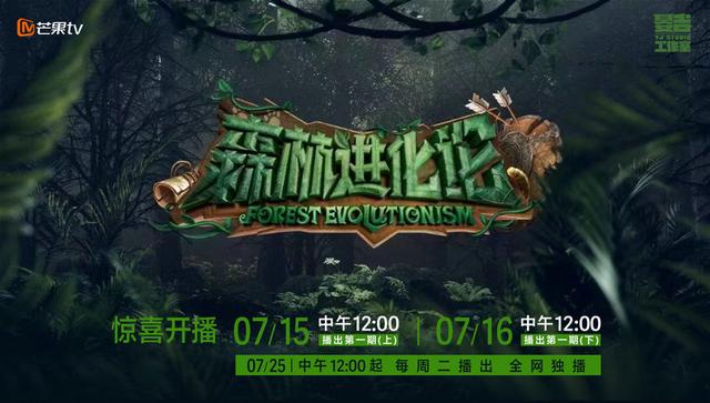 森林進(jìn)化論 第20230715期