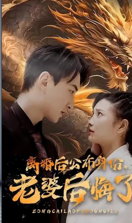 離婚后公布身份，老婆后悔了 全集(大結局)