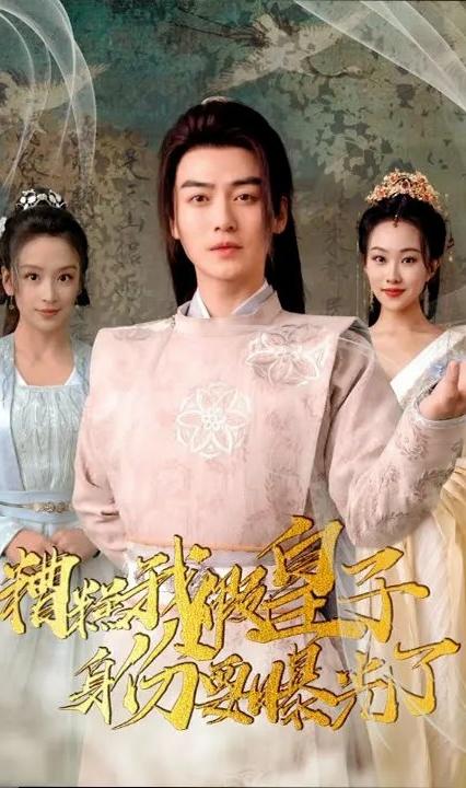 糟糕我假皇子身份要曝光了 全集(大結(jié)局)