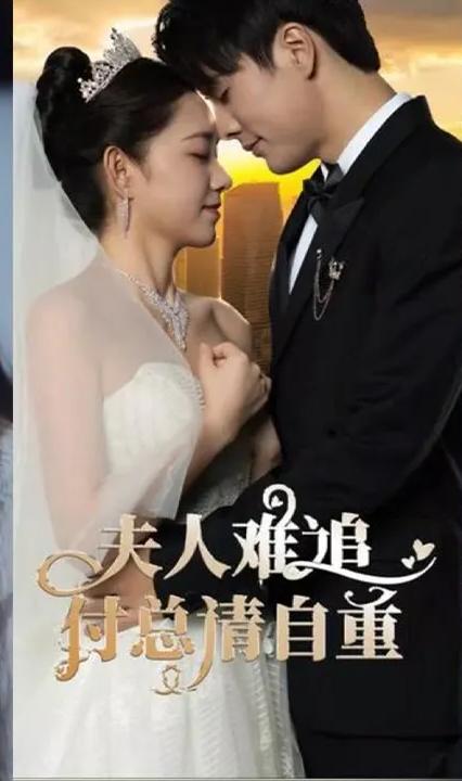 夫人難追，付總請自重 全集(大結(jié)局)