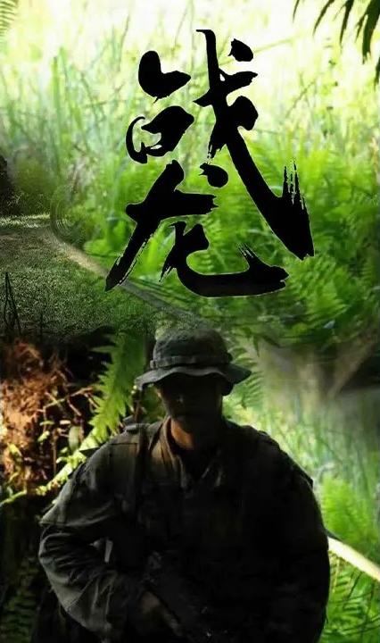 戰(zhàn)龍 全集(大結(jié)局)