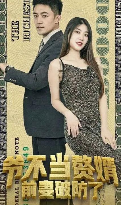 爺不當(dāng)贅婿，前妻破防了 全集(大結(jié)局)