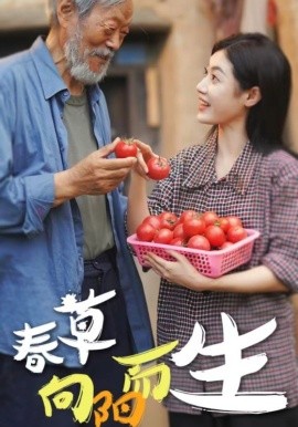 春草向陽而生 第01集