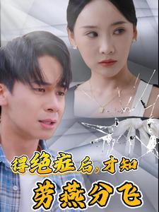 得絕癥后才知勞燕分飛 第01集